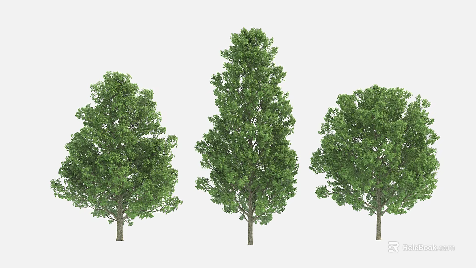 Three Green Arbor Trees With Different Crown Shapes For Landscape Design 3d model