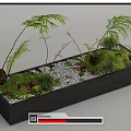 Bonsai Potted Plant in Black Rectangular Container with Green Ferns Moss Small Pebbles and Decor