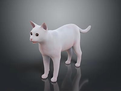 Realistic White Cat 3D Model Standing on Black Background with Reflection 3d model