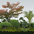 Vibrant Garden With Orange Leaf Tree Palm Monstera Rounded Shrubs And Ferns