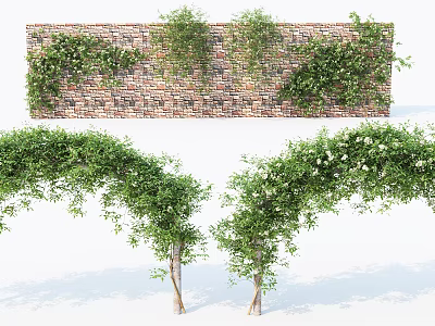 Charming Garden Decor With Brick Wall Covered In Green Vines And Vine Arches 3d model