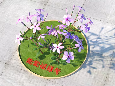 Blooming Pink and Purple Grape Hyacinth Flowers on Green Circular Tray 3d model