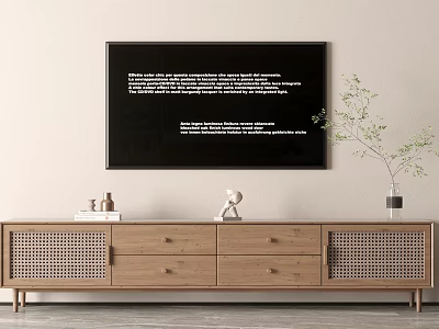 Wooden TV Stand With Drawers Woven Panels Decorations Books Potted Plant And Black Wall Frame 3d model