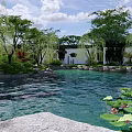 Natural Rockery Stones In Serene Garden With River Lotus Flowers And Blooming Trees