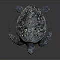 Reptile Sea Turtle With Mottled Shell White Spots And Colorful Body On Dark Background