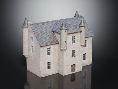 Traditional Stone Castle Building With Gray Roof Turrets Light Colored Walls And Windows 3d model