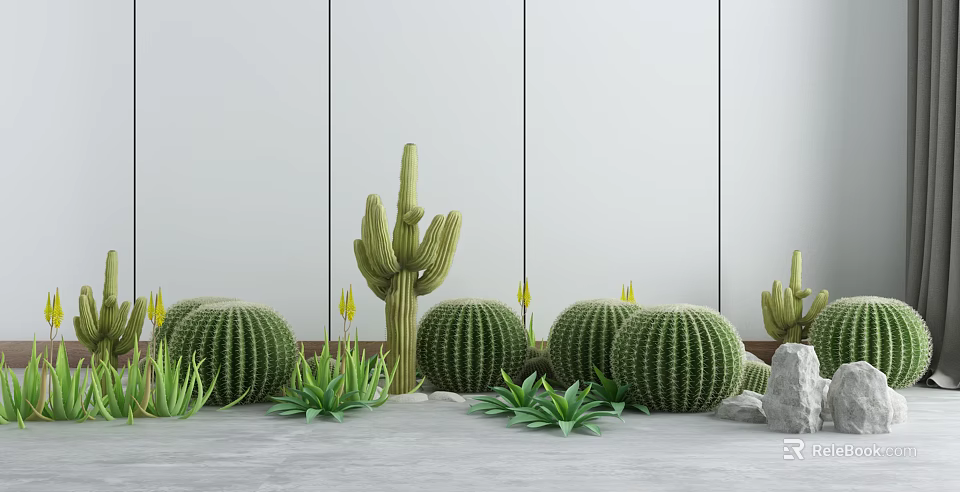 Bonsai Cactus Plants With Various Cactus Types Green Succulents Stones White Wall Gray Floor 3d model 