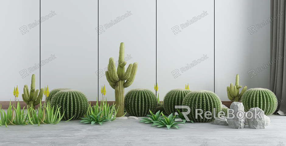 Modern Cactus Green Plant Potted Plant model