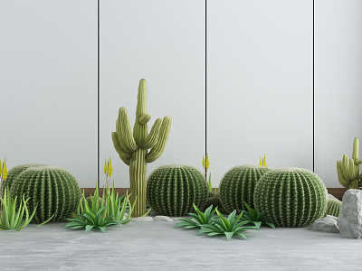 Modern Cactus Green Plant Potted Plant model