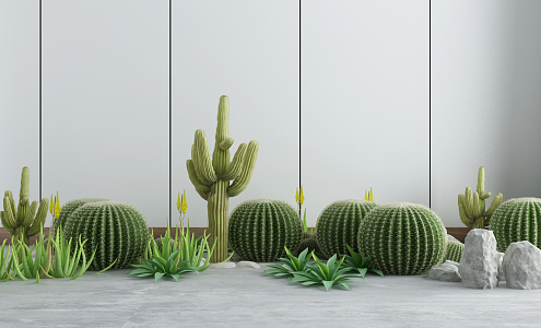 Modern Cactus Green Plant Potted Plant 3d model