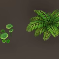 Different Types of Green Plants Featuring Bushes Vines Ferns and Lush Green Leaves