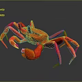 Red Crab Aquatic Animal With Detailed 3D Model Design And Shiny Surface
