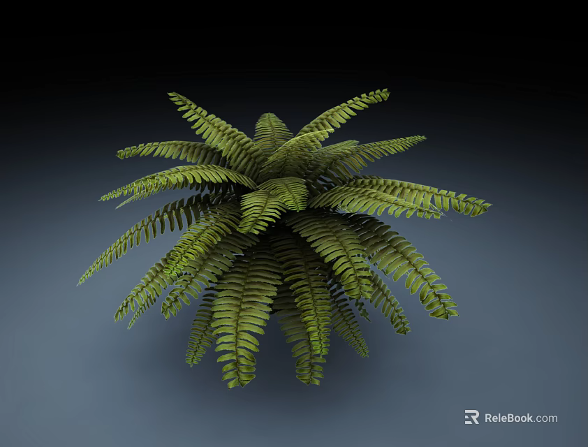Fern Plant With Green Feathery Leaves And Lush Vibrant Foliage 3d model 