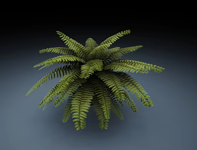 Fern Plant With Green Feathery Leaves And Lush Vibrant Foliage 3d model