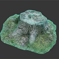 Natural Tree Stump with Textured Surface Surrounded by Green Moss and Grass
