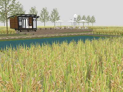 Tranquil Rural Landscape With Rice Fields Wooden Cabin Trees And Water 3d model