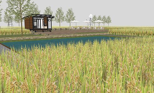 Modern Rice Field Home Vegetable Garden Rice Field Light 3d model