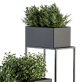 Layered Potted Green Plants In Black Pots On Metal Stands With Various Heights