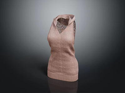 Pink Sleeveless Knitted Vest With Hollow Out Neckline And Fitted Design 3d model