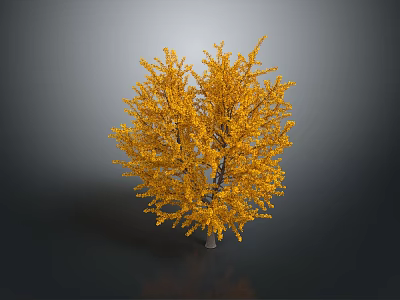 Golden Leafed Ginkgo Tree with Bright Yellow Foliage Against Dark Background 3d model