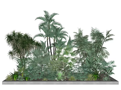 Tropical Green Plant Collection With Palm Trees Shrubs And Lush Foliage 3d model