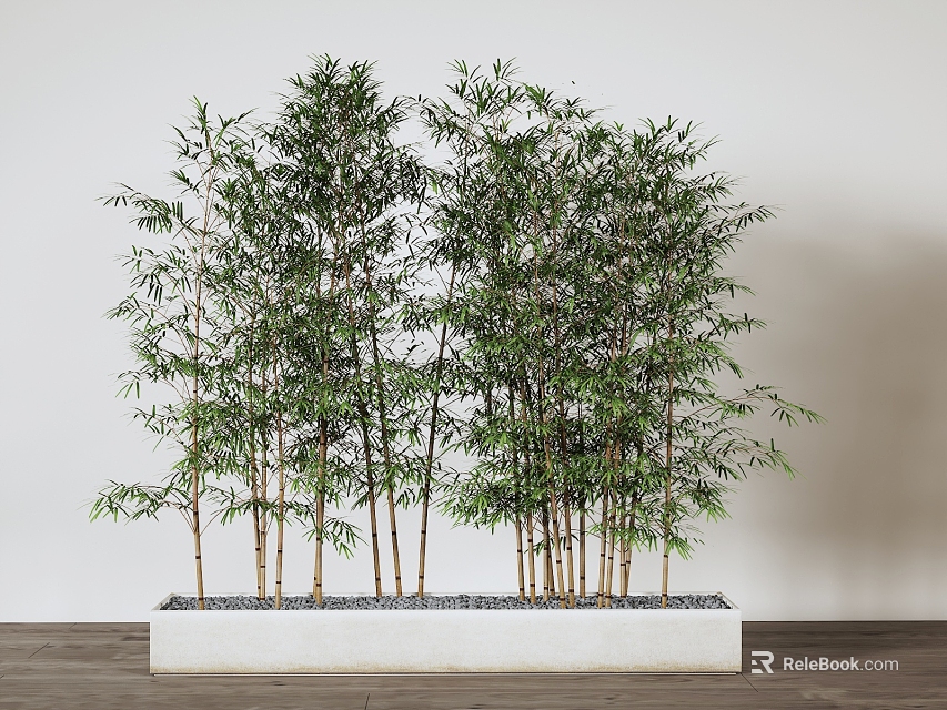 Bamboo Plants In White Planter With Pebbles 3d model 
