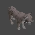 Realistic 3D Model of Lynx With Spotted Fur and Pointed Ears Standing