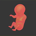 Realistic Sitting Baby 3D Render with Dark Background and Reflection Surface 3d model