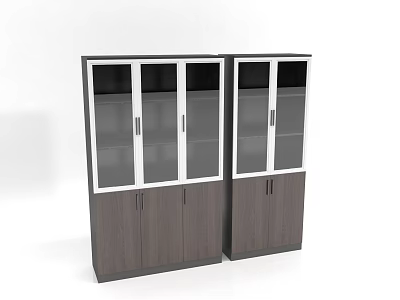 Modern Double Bookcases with Glass Doors and Wooden Storage Cabinets 3d model