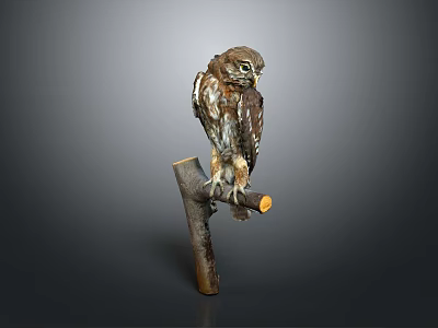 Majestic Brown Owl Perched On Wooden Branch With Natural Feathers 3d model