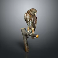 Majestic Brown Owl Perched On Wooden Branch With Natural Feathers