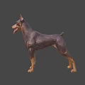 Low Poly Doberman 3D Model In Standing Pose With Tongue Out