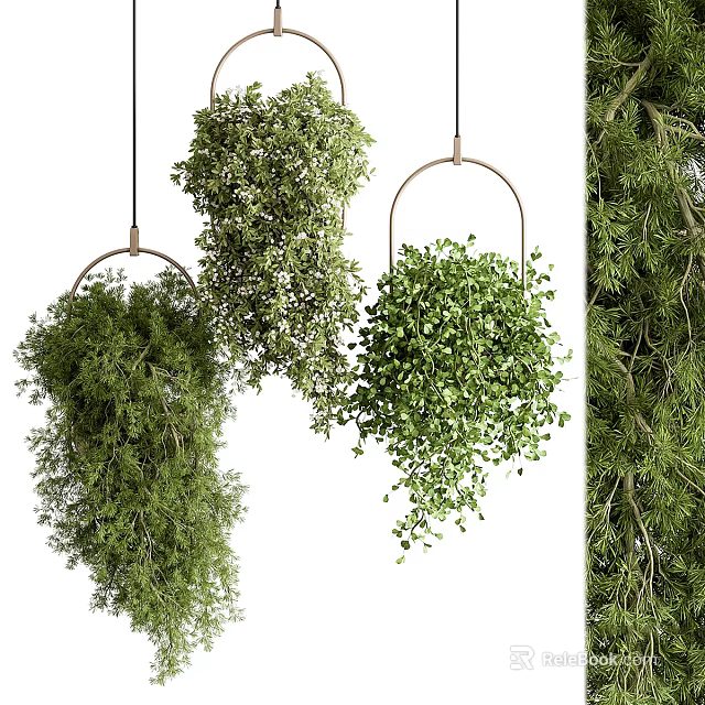Indoor Decorative Hanging Plants with Lush Green Foliage and Metal Ring Design 3d model 