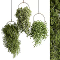 Indoor Decorative Hanging Plants with Lush Green Foliage and Metal Ring Design