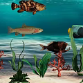 Various Aquatic Animals Swimming In Colorful Underwater Scene With Coral Reef And Green Seaweed