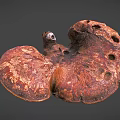 Organic Ganoderma Mushroom With Brown Red Texture And Fan Shaped Holes