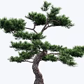 modeling tree modeling loose 3d model