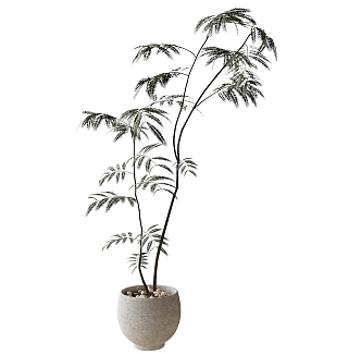 potted plant bonsai green plant 3d model