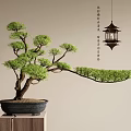 Elegant Bonsai Plant With Curved Branches In Black Pot On Wooden Stand And Hanging Lantern
