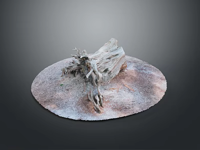 Natural Wooden Tree Stump Decorative Piece On Round Stone Base 3d model