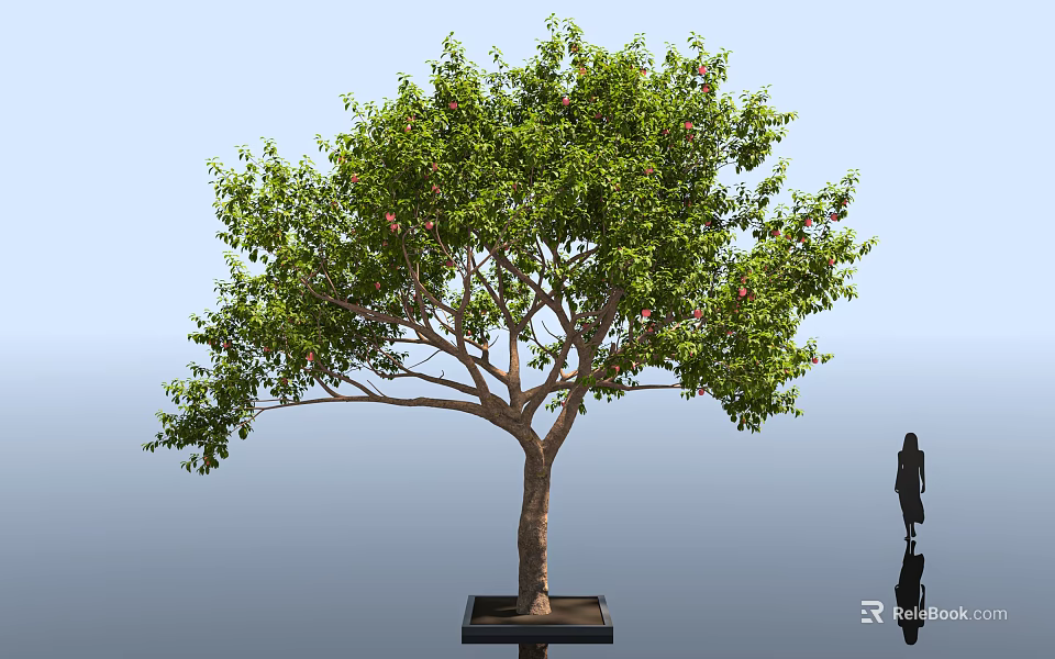 Lush Flowering Arbor with Green Leaves and Square Base Near Human Silhouette 3d model 