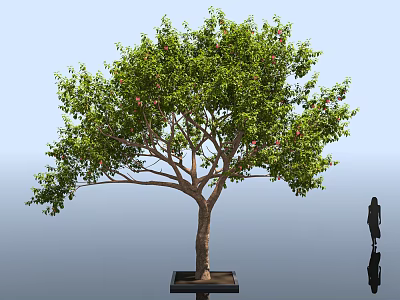 Lush Flowering Arbor with Green Leaves and Square Base Near Human Silhouette 3d model