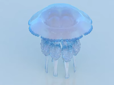 Beautiful Jellyfish With Pale Blue Purple Bell And Transparent Glistening Tentacles 3d model