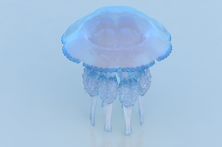 Jellyfish Luminous Jellyfish Marine Life Underwater World 3d model