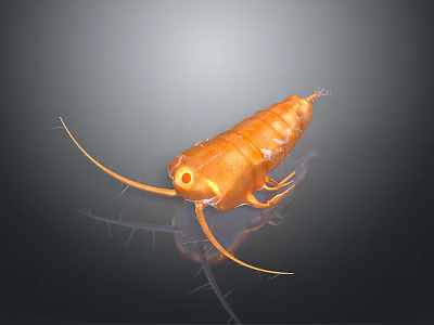 Orange Segmented Marine Creature with Long Antennae and Multiple Legs on Dark Background Showing Reflection 3d model