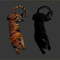 Realistic Orange Tiger and Black Panther Lying Side by Side on Gray Background 3d model