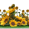 Vibrant Event Entrance Decorated With Colorful Sunflowers And Green Foliage