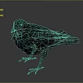 Crow With Teal Iridescent Shiny Feathers Standing On Dark Background 3d model
