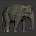 Detailed Grayish Green Textured Elephant Model Standing On Dark Background