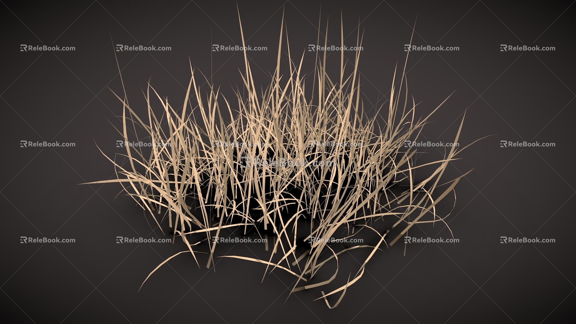 dry grass dry grass 3d model